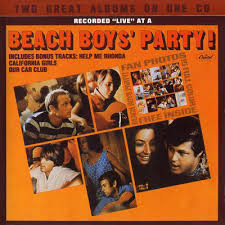 BEACH BOYS PARTY!