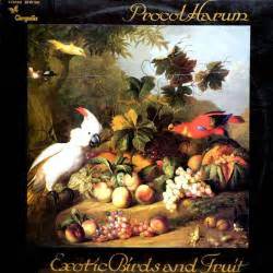 Exotic Birds and Fruit