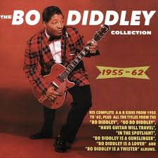 Bo Diddley's a Twister